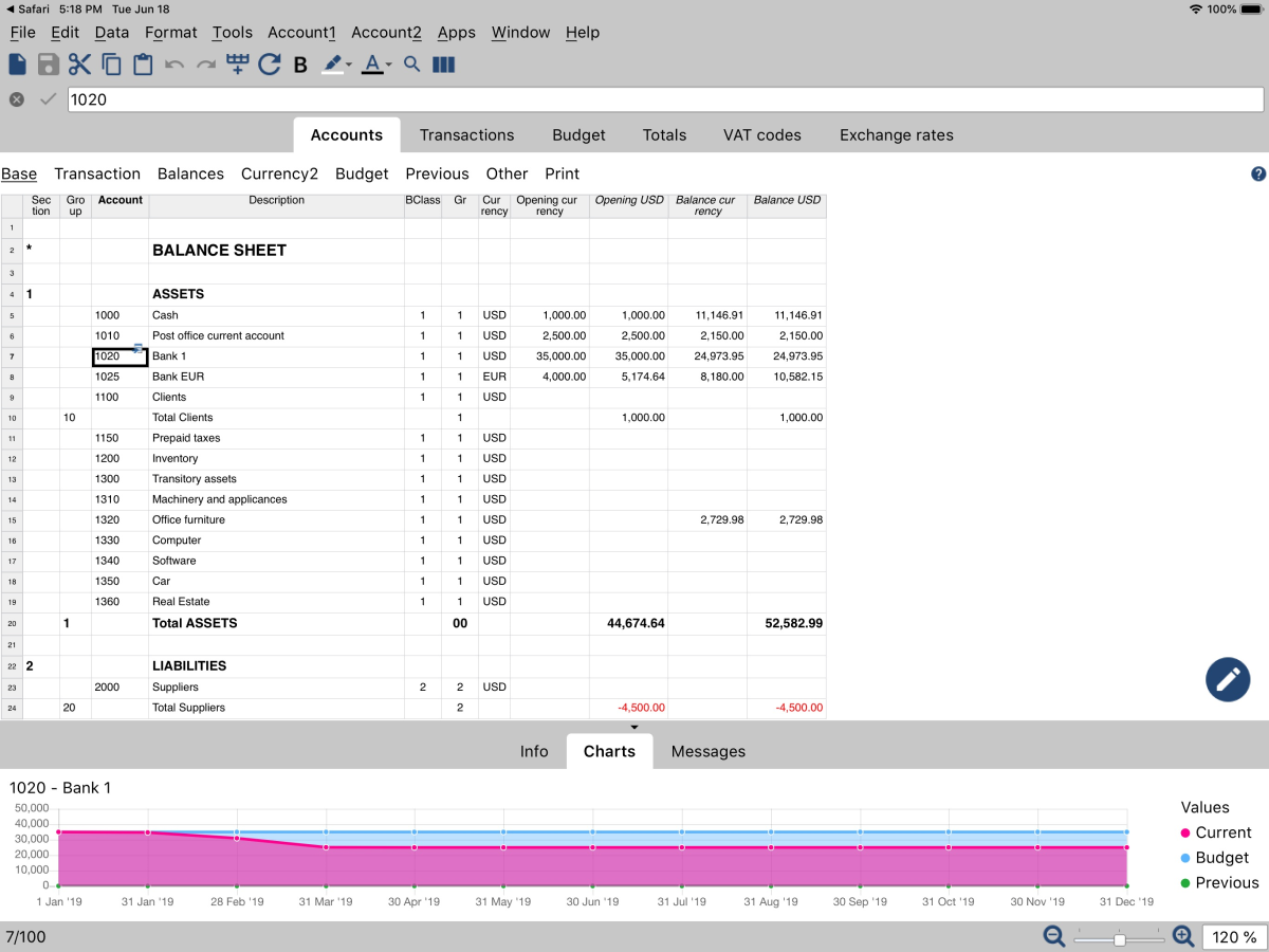 Banana Accounting Mobile on an iPad