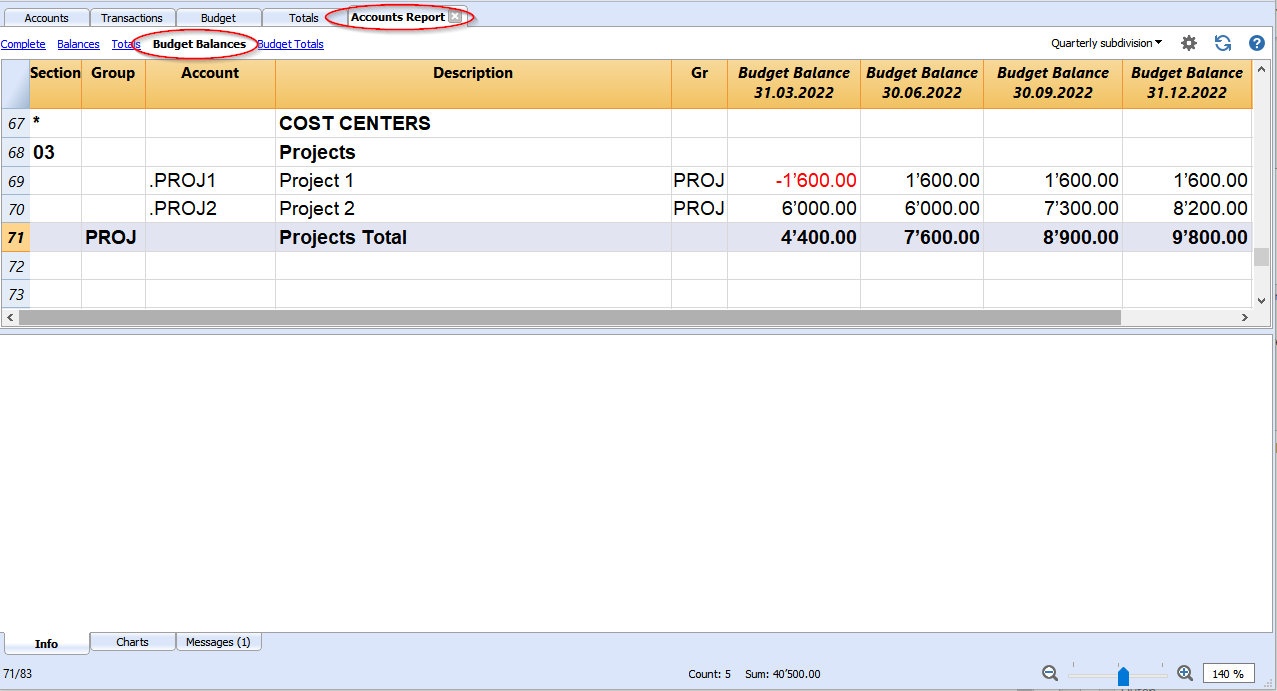 accounts budget report projects