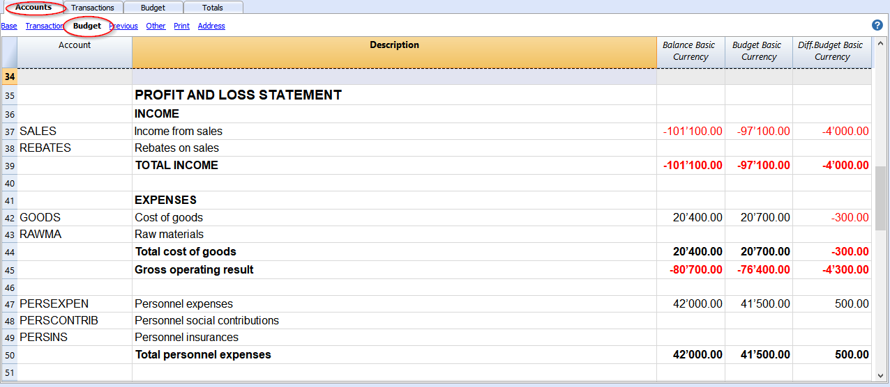 profit and loss accounts budget