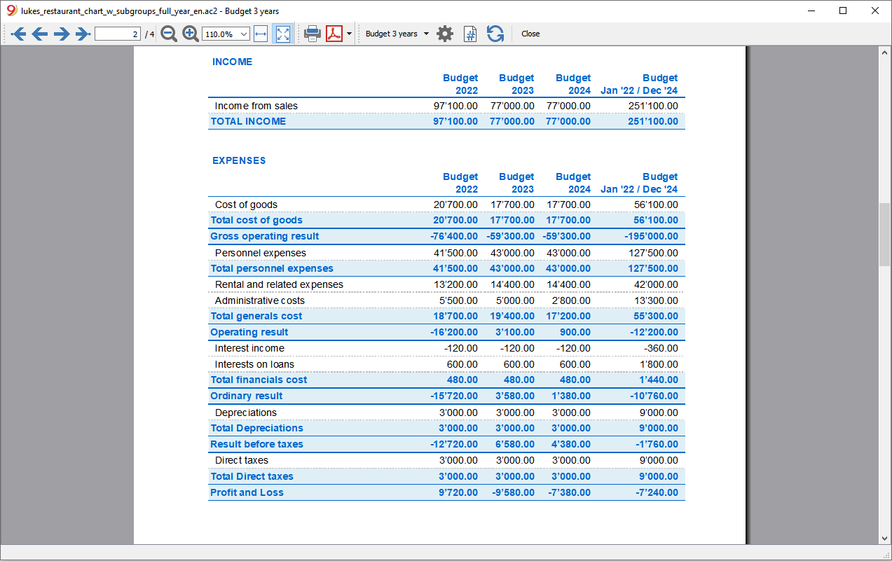 profit loss budget 3 year