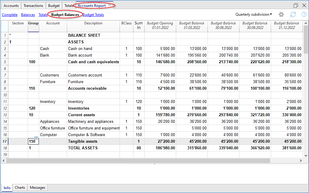 report contabile Preventivo con suddivisione trimestrale