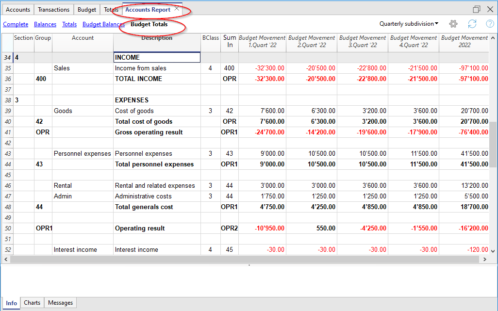 Accounting Report, Budget for Profit & Loss Statement
