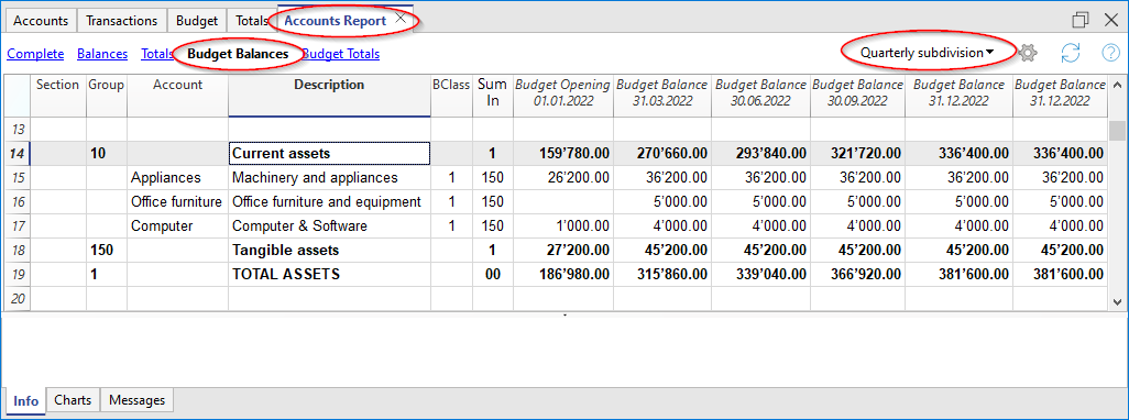 report contabile previsione investimenti
