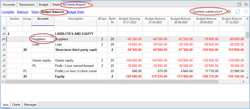 Accounting Report with Suppliers Budget
