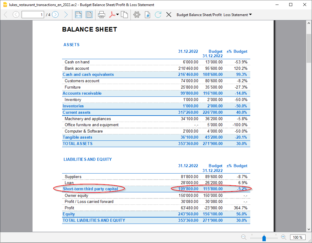 gruppo Finanziamenti nel bilancio abbellito con gruppi