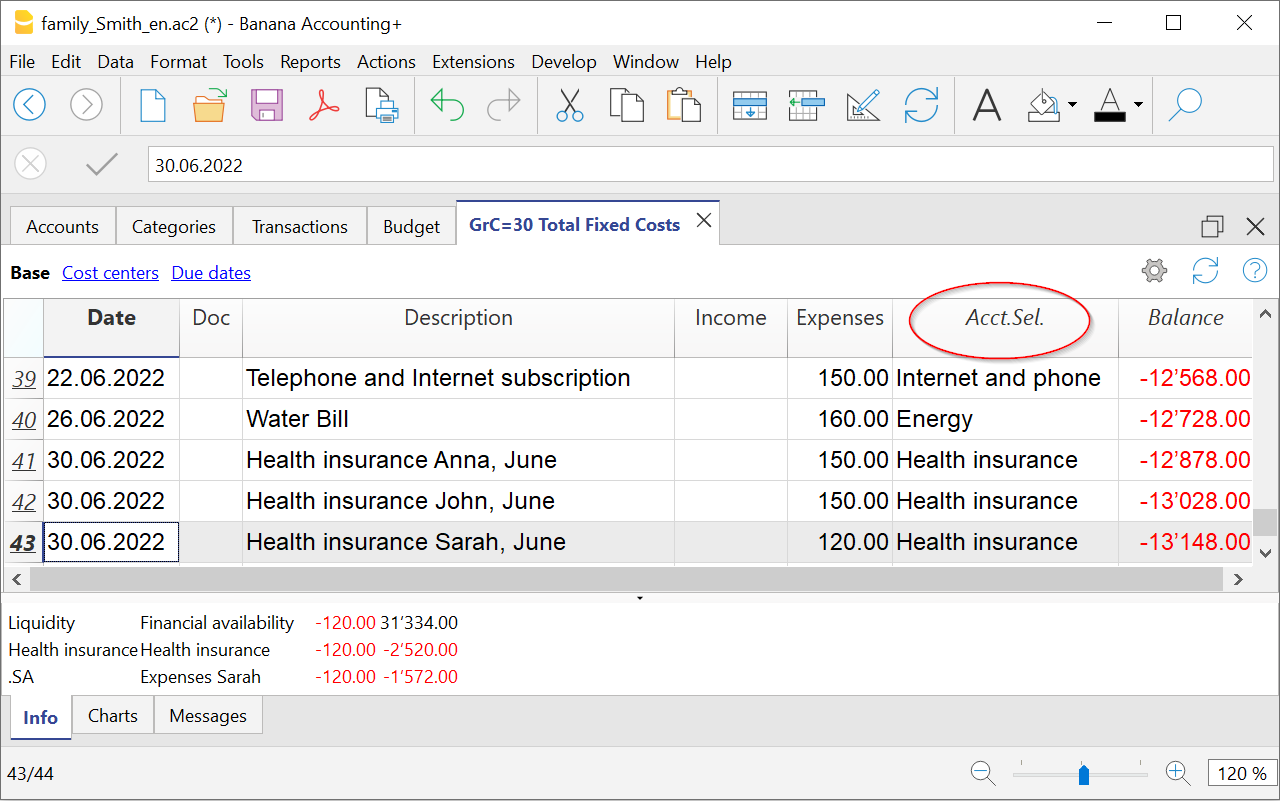 Ausgewähltes Konto des Kontoauszugs des Cash Managers