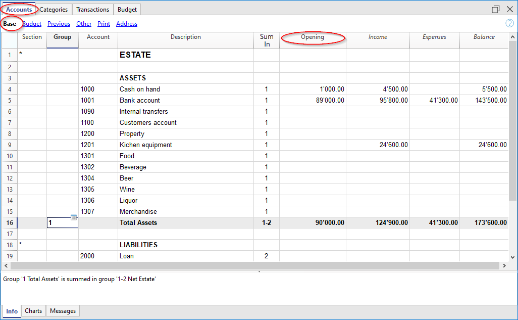 opening balances Income and Expense Accounting