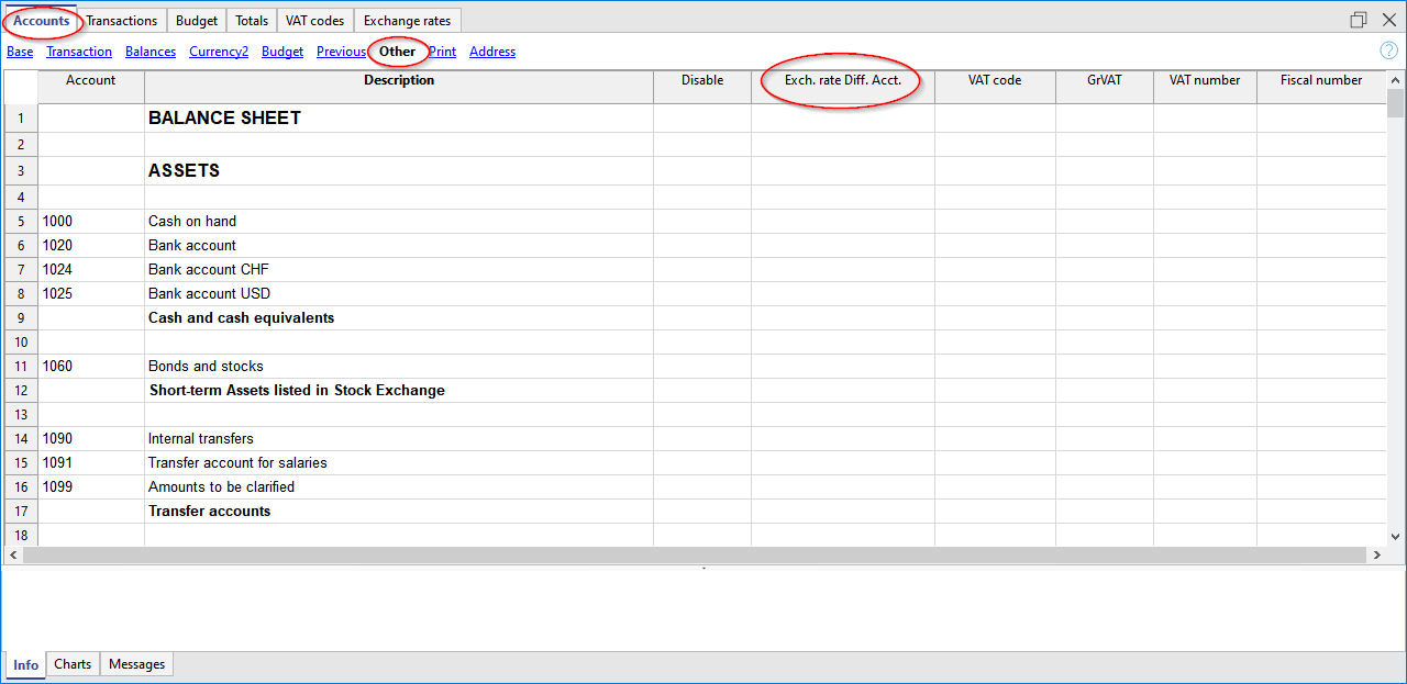 tabella conti, vista Altro