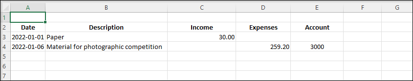 Income and Expenses excel example