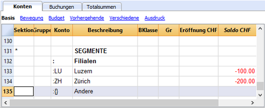 Bilanzbericht mit Segmente