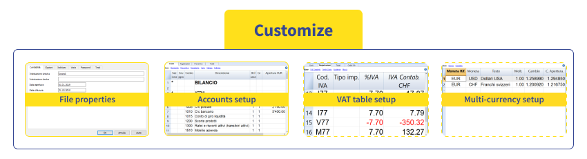 Scheme Banana Accounting customize phase
