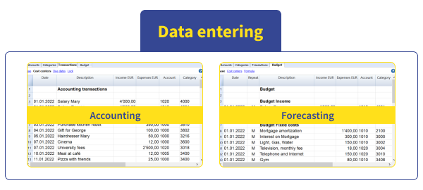 Scheme Banana Accounting data entering phase