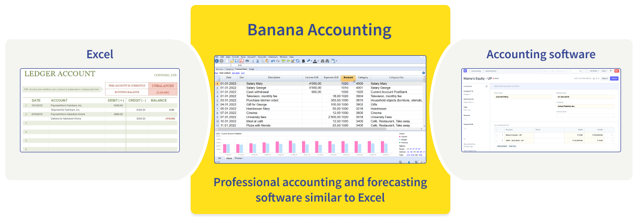 Scheme Banana Accounting professional accounting software similar to Excel